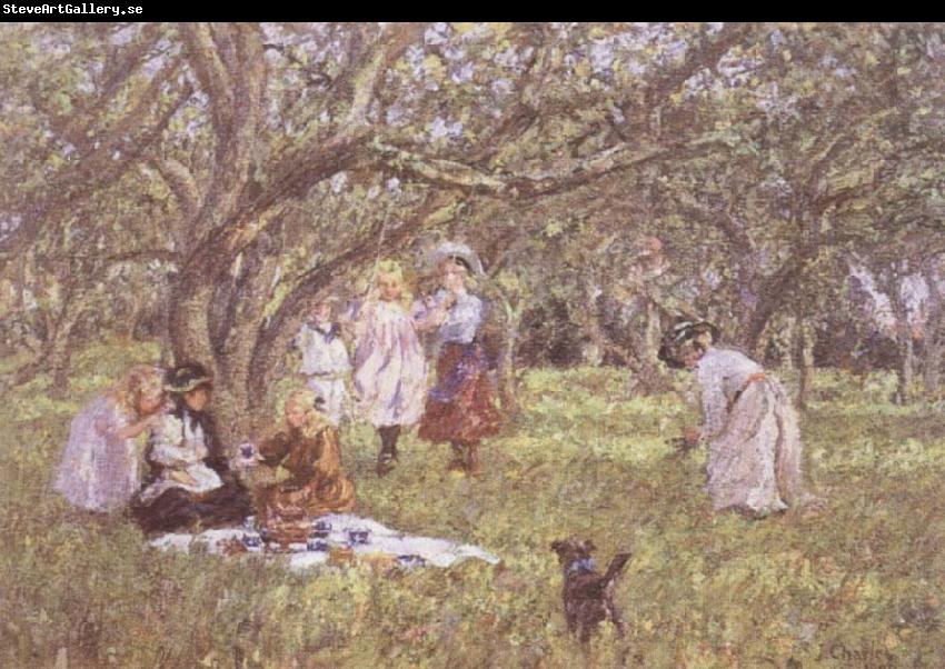 James Charles The Picnic